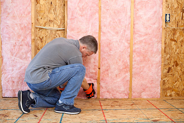 Best DIY Insulation Kits and Guidance in Duquesne, MO
